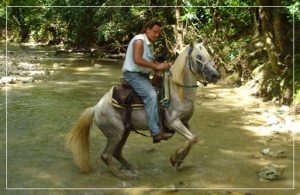 Grey Wolf Ranch Ozarks Daniel on Chief Rancho Lobo Gris