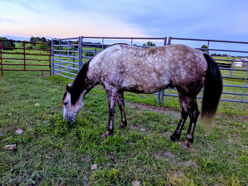 About Us - Grey Wolf Ranch Ozarks